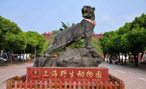 上海野生动物园演出扩声