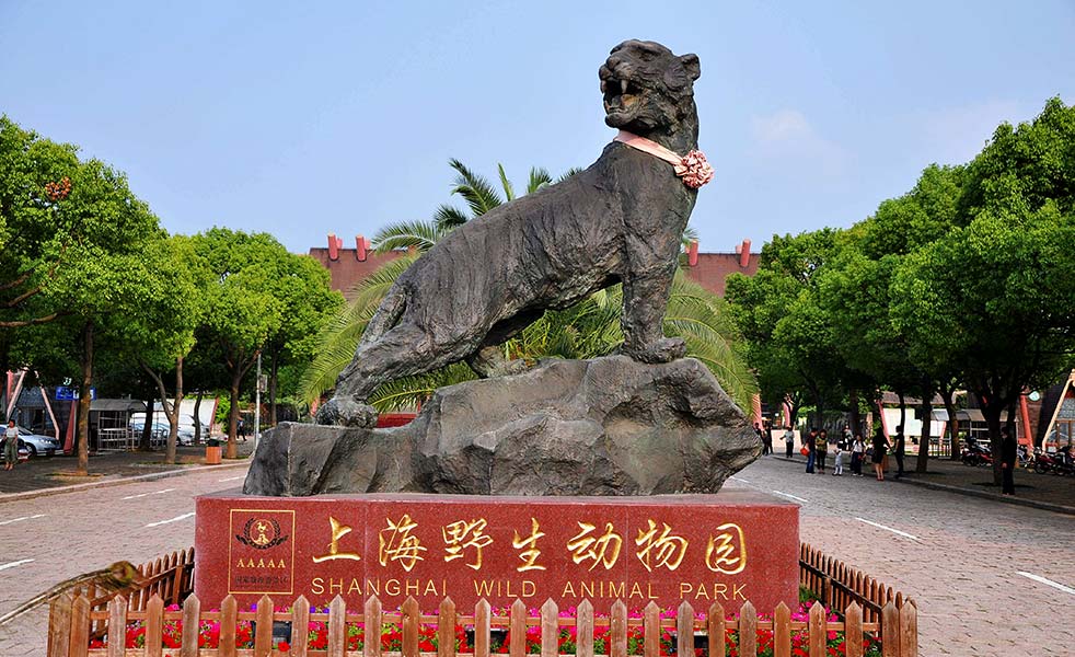 上海野生动物园演出扩声