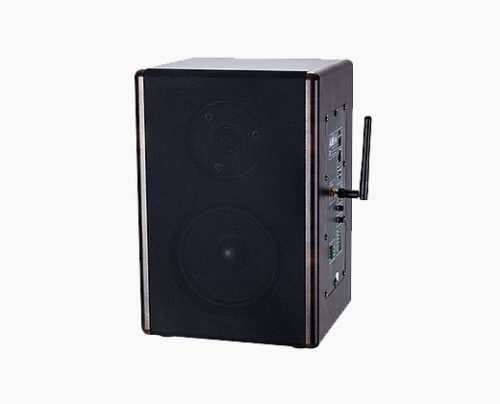 LAX SK-9523 数字网络监听音箱